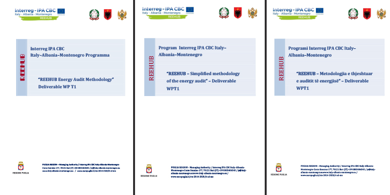 Guideline Audit Methodology- Translated in three languages